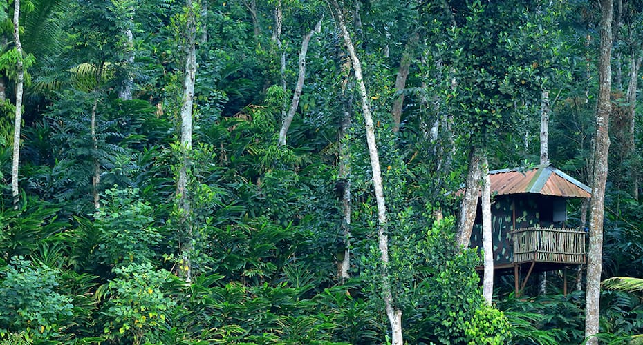Amaana Plantation Resort, Thekkady 5